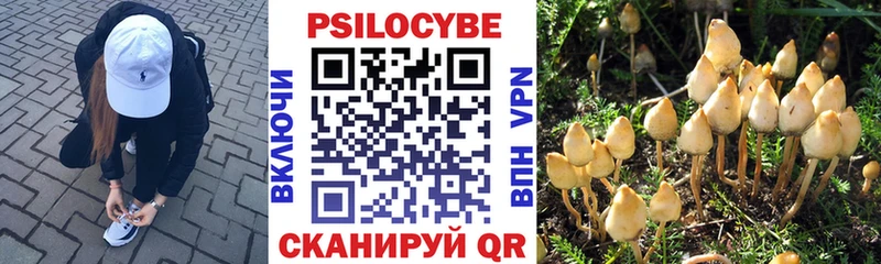 Псилоцибиновые грибы Psilocybine cubensis  mega ссылки  Сасово 